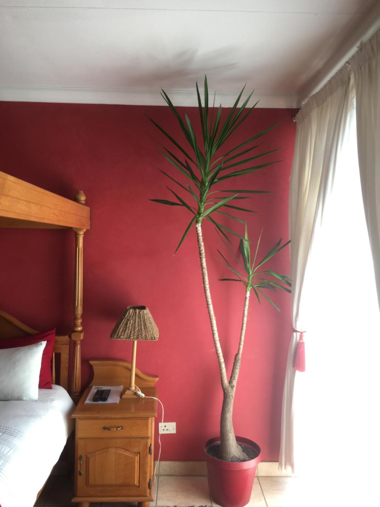 Birrea Guest House بولوكوان المظهر الخارجي الصورة