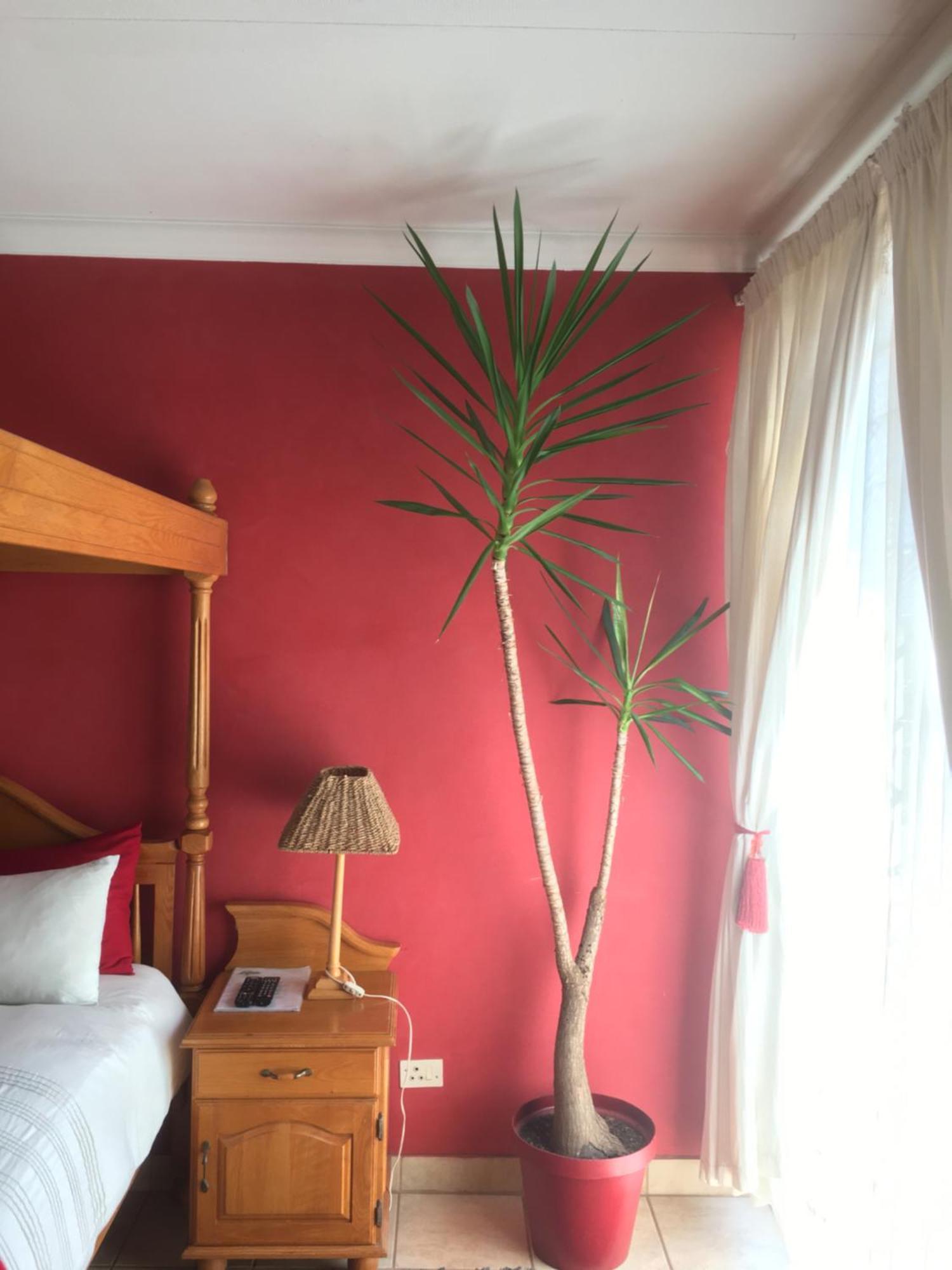 Birrea Guest House بولوكوان المظهر الخارجي الصورة